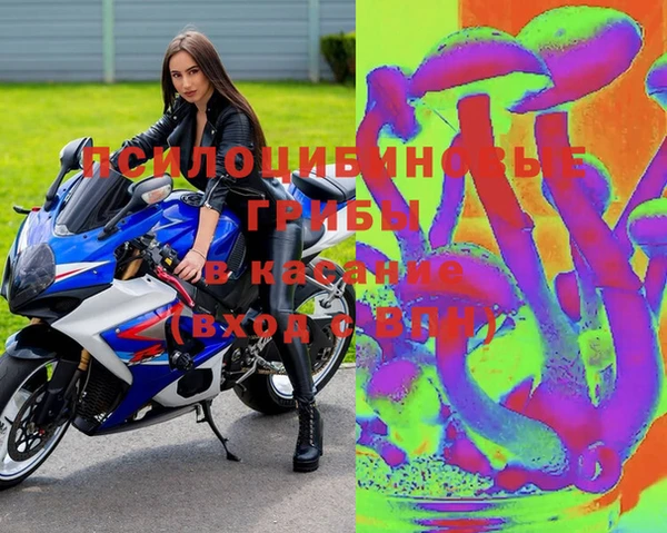 мяу мяу мука Алексин