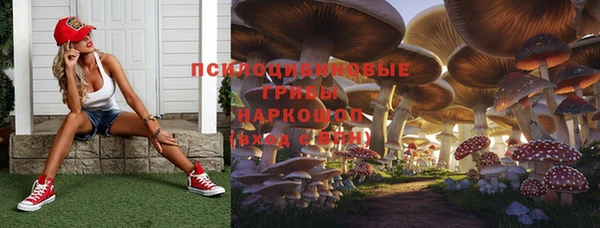 PSILOCYBIN Алексеевка