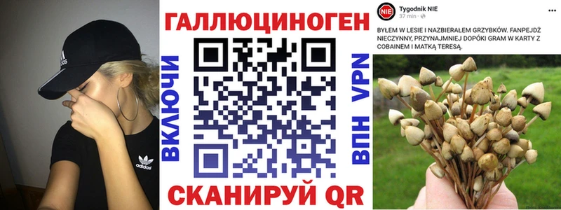 Купить закладки  Зеленогорск  Галлюциногенные грибы Psilocybine cubensis 