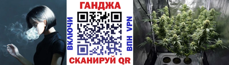 Купить  Зеленогорск  Марихуана Amnesia 